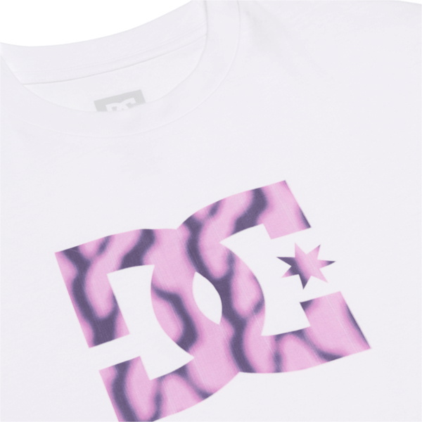 2026 DC Shoes Mens DC Star Filled T-Shirt EDYZT04503 - White